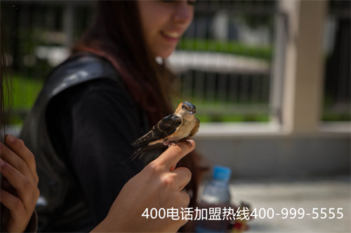 (400電話特點(diǎn))(400電話每天要多少錢？有哪些功能值得了解？)